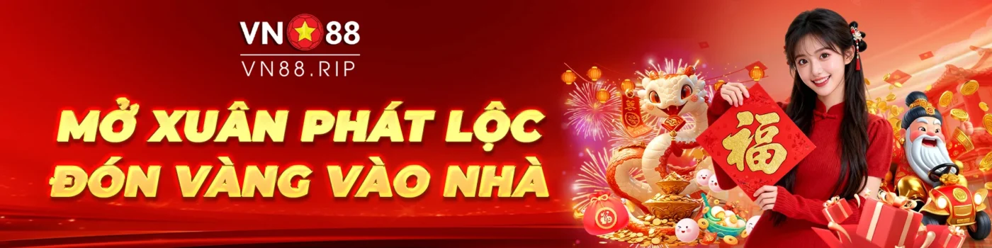 Banner VN88